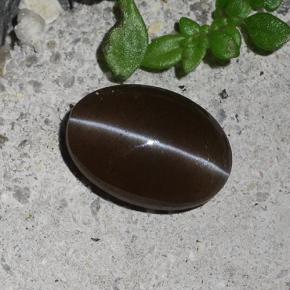 Scapolite œil de chat Brun naturelle Coupe ovale, 2.03 ct, Translucide