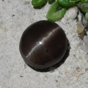 Scapolite œil de chat Brun chocolat naturelle Tour, 2.10 ct, Translucide
