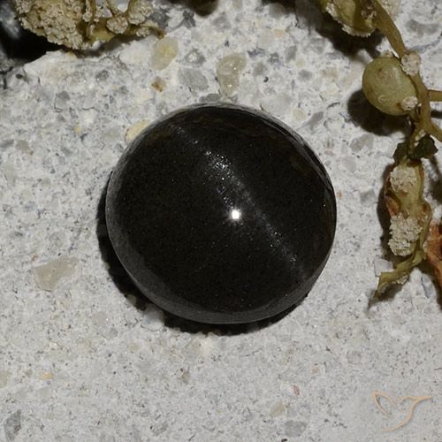 2.12ct Naturel Noire Scapolite œil de chat, Tour, Translucide