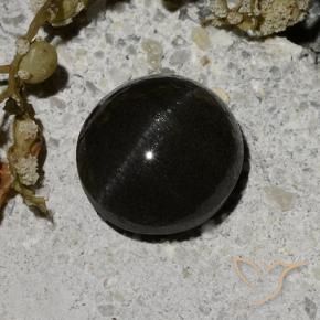Scapolite œil de chat Noire naturelle Tour, 2.12 ct, Translucide
