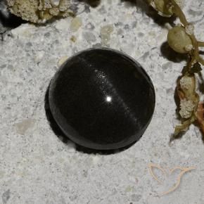 Scapolite œil de chat Noire naturelle Tour, 2.12 ct, Translucide