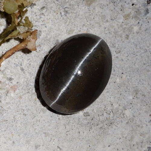 Scapolite œil de chat Noire naturelle Coupe ovale, 2.30 ct, Translucide