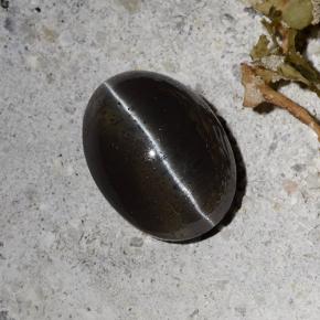 Scapolite œil de chat Noire naturelle Coupe ovale, 2.30 ct, Translucide