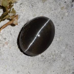 Scapolite œil de chat Noire naturelle Coupe ovale, 2.30 ct, Translucide