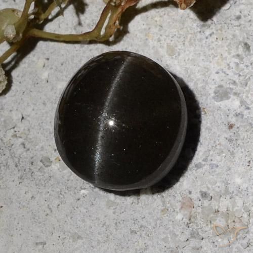 Scapolite œil de chat Noire naturelle Tour, 2.34 ct, Translucide