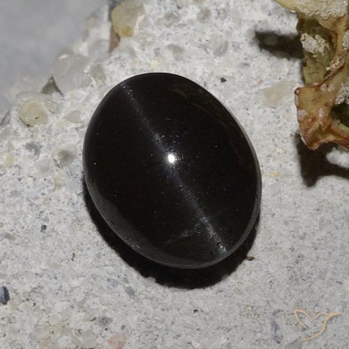 2.35ct Naturel Noire Scapolite œil de chat, ovale, Translucide