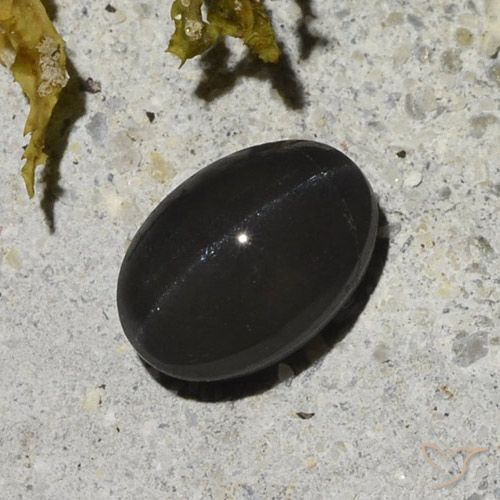 1.48ct Naturel Noire Scapolite œil de chat, ovale, Translucide