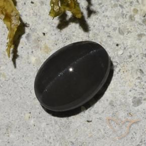 Scapolite œil de chat Noire naturelle ovale, 1.48 ct, Translucide