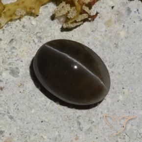 Scapolite œil de chat Noir chaud naturelle Coupe ovale, 1.35 ct, Translucide