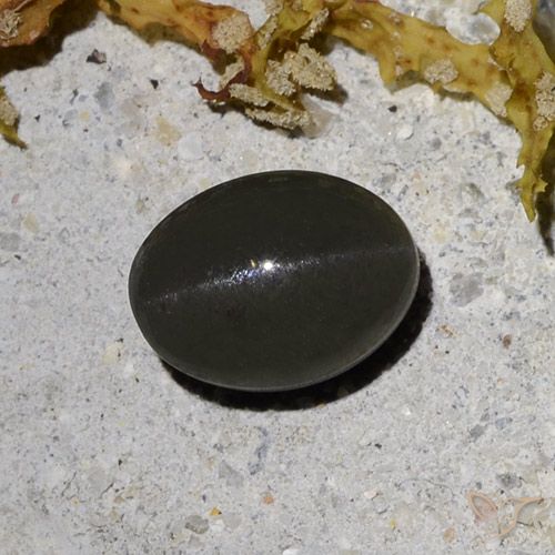 2.09ct Naturel Noir grisâtre foncé Scapolite œil de chat, ovale, Translucide