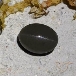Scapolite œil de chat Noir grisâtre foncé naturelle ovale, 2.09 ct, Translucide