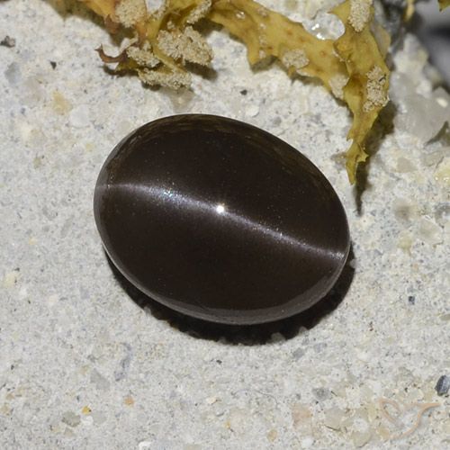 2.96ct Naturel Brun Scapolite œil de chat, ovale, Translucide