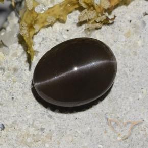 Scapolite œil de chat Brun naturelle ovale, 2.96 ct, Translucide