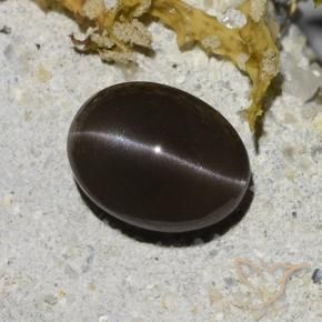Scapolite œil de chat Brun naturelle ovale, 2.96 ct, Translucide