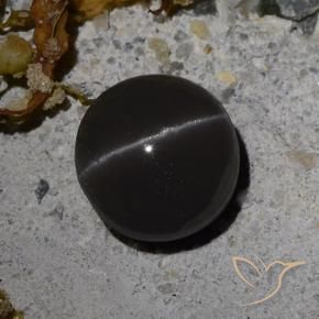 Scapolite œil de chat Noire naturelle Tour, 3.08 ct, Translucide