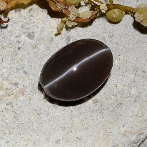 1.81ct Naturel Marron foncé Scapolite œil de chat, ovale, Translucide