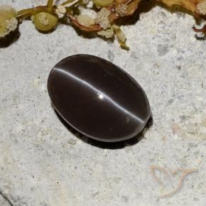 Scapolite œil de chat Marron foncé naturelle ovale, 1.81 ct, Translucide