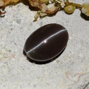 Scapolite œil de chat Marron foncé naturelle ovale, 1.81 ct, Translucide