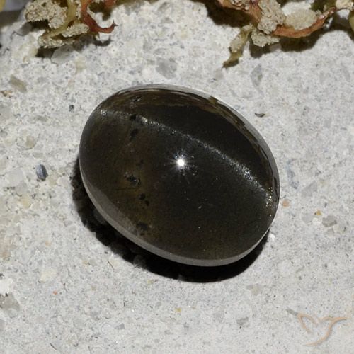 3.32ct Naturel Noire Scapolite œil de chat, ovale, Translucide