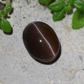 Scapolite œil de chat Brun chocolat naturelle ovale, 1.23 ct, Translucide