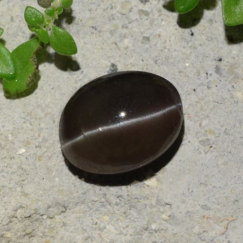 2.43ct Naturel Brun chocolat Scapolite œil de chat, ovale, Translucide