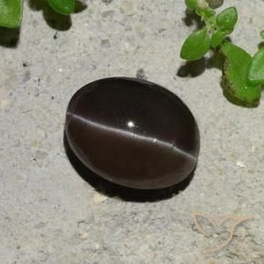 Scapolite œil de chat Brun chocolat naturelle ovale, 2.43 ct, Translucide
