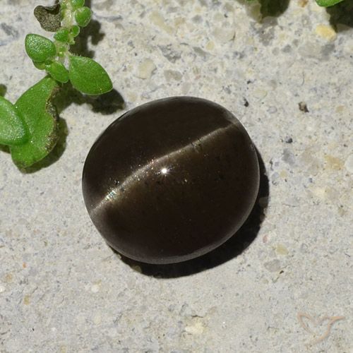 2.64ct Naturel Marron noirâtre Scapolite œil de chat, ovale, Translucide
