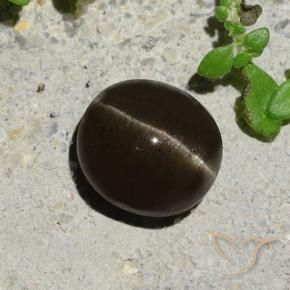Scapolite œil de chat Marron noirâtre naturelle ovale, 2.64 ct, Translucide