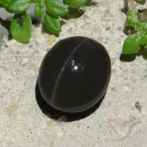 Scapolite œil de chat Noire naturelle ovale, 2.94 ct, Translucide