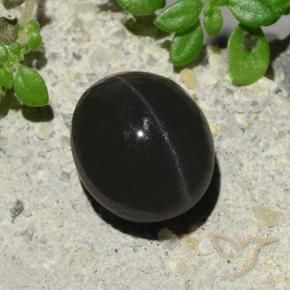Scapolite œil de chat Noire naturelle ovale, 2.94 ct, Translucide