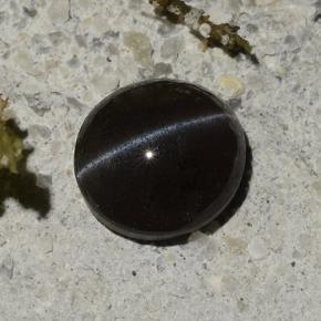 Cat's eye scapolite noir naturelle coupe ovale, 1,14 ct, translucide