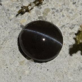 Cat's eye scapolite noir naturelle coupe ovale, 1,14 ct, translucide