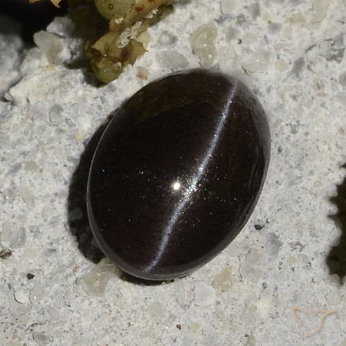 Cat's eye scapolite noir naturelle coupe ovale, 1,47 ct, translucide