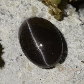 Cat's eye scapolite noir naturelle coupe ovale, 1,47 ct, translucide