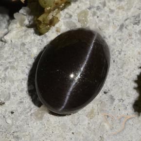 Cat's eye scapolite noir naturelle coupe ovale, 1,47 ct, translucide