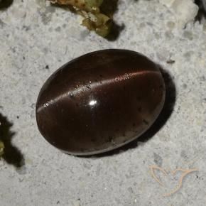 Cat's eye scapolite marron naturelle coupe ovale, 2,44 ct, translucide