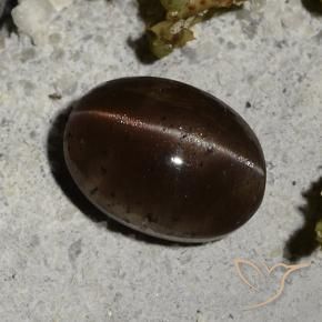 Cat's eye scapolite marron naturelle coupe ovale, 2,44 ct, translucide