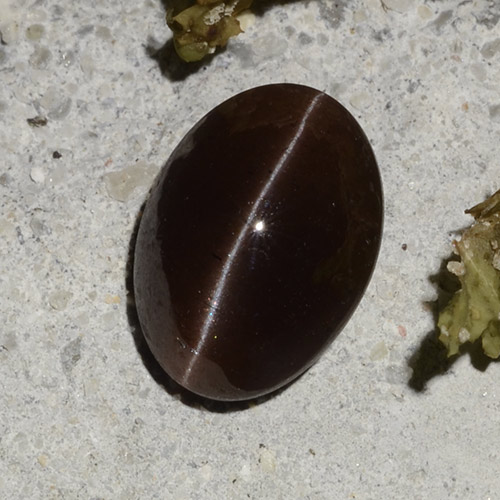 Cat's eye scapolite marron naturelle coupe ovale, 2,16 ct, translucide