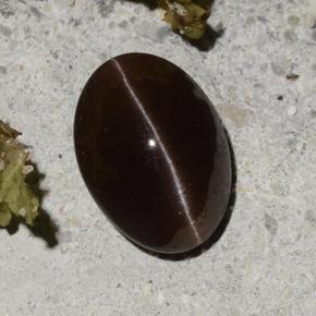 Cat's eye scapolite marron naturelle coupe ovale, 2,16 ct, translucide