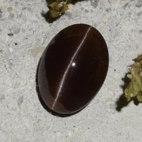 Cat's eye scapolite marron naturelle coupe ovale, 2,16 ct, translucide