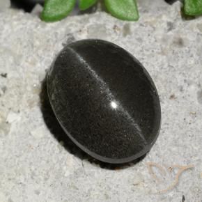 Scapolite œil de chat Noire naturelle ovale, 2.15 ct, Translucide