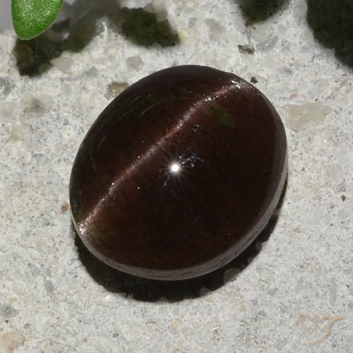 2.04ct Naturel Marron foncé Scapolite œil de chat, ovale, Translucide