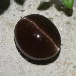 Scapolite œil de chat Marron foncé naturelle ovale, 2.04 ct, Translucide