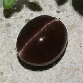 Scapolite œil de chat Marron foncé naturelle ovale, 2.04 ct, Translucide