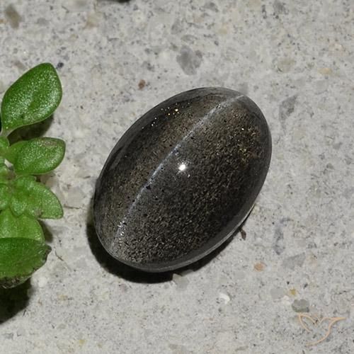 1.48ct Naturel Gris foncé Scapolite œil de chat, ovale, Translucide