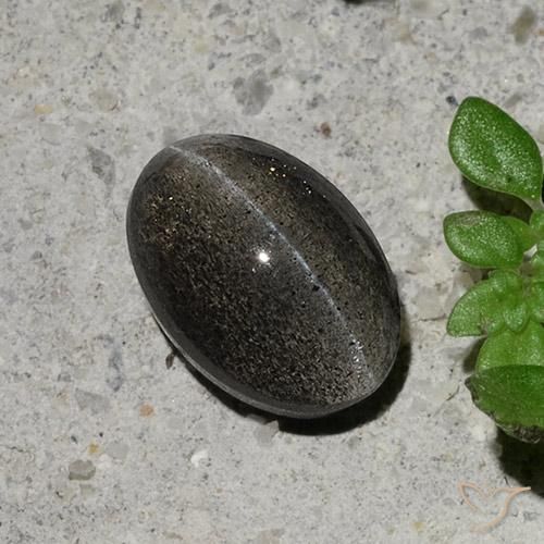 Scapolite œil de chat Gris foncé naturelle ovale, 1.48 ct, Translucide