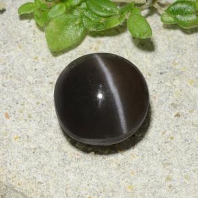 Scapolite œil de chat Brun naturelle Coupe roude, 1.96 ct, Translucide