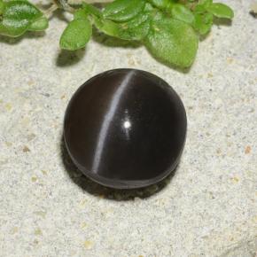 Scapolite œil de chat Brun naturelle Coupe roude, 1.96 ct, Translucide