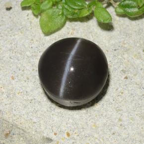 Cat's eye scapolite noir naturelle coupe roude, 2,49 ct, translucide