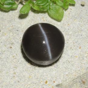 Cat's eye scapolite noir naturelle coupe roude, 2,49 ct, translucide
